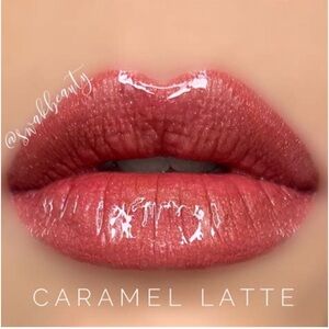 LipSense long lasting liquid lip color